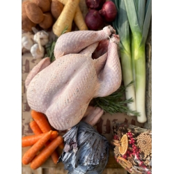 Free Range Dry Pluck Bronze Turkey